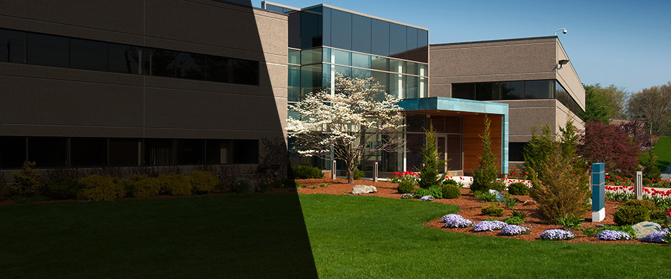 Bruceton Mills Landscapers